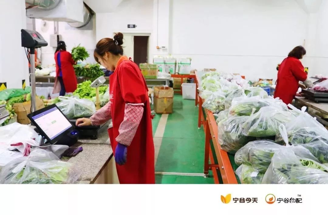 從零到億 這家谷物企業(yè)如何在三年內創(chuàng)造商業(yè)奇跡